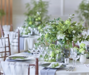 【少人数でお考えのおふたりへ】アットホームウエディング相談会 リバースイート京都鴨川迎賓館